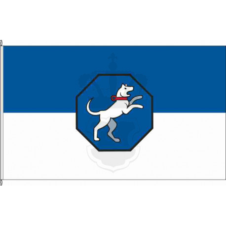Fahne Flagge SIG-Hundersingen