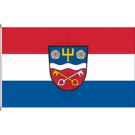 Fahne Flagge MSP-Triefenstein
