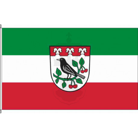 Fahne Flagge PM-Plötzin