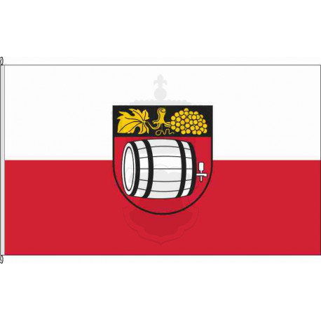 Fahne Flagge WN-Neustadt an der Rems