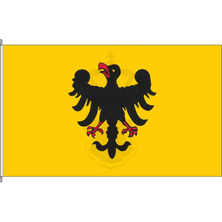 Fahne Flagge HD-Sinsheim
