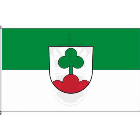 Fahne Flagge KN-Hilzingen
