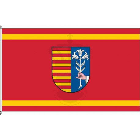 Fahne Flagge HI-Everode *