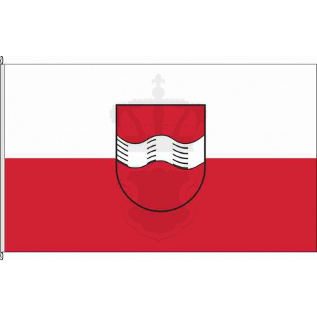 Fahne Flagge TBB_Wachbach