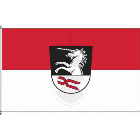 Fahne Flagge TS_Nußdorf