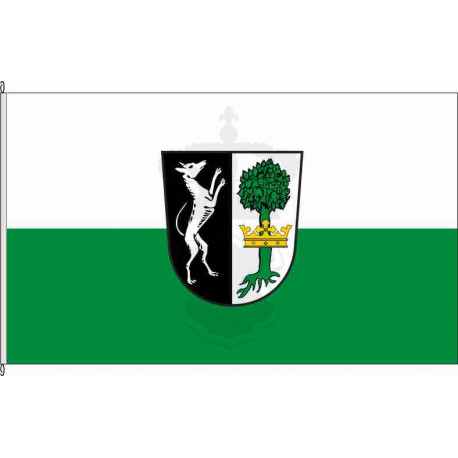 Fahne Flagge SR_Neukirchen