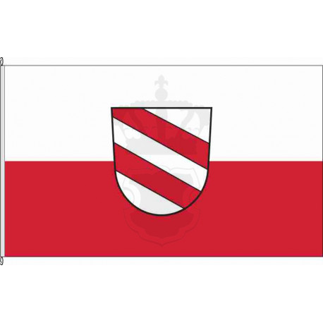 Fahne Flagge DGF_Landau a.d.Isar