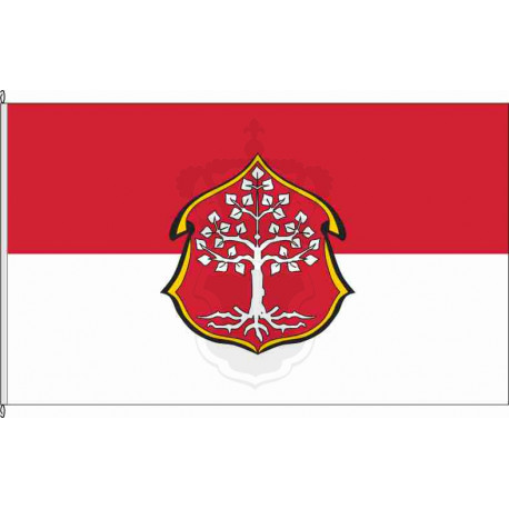 Fahne Flagge NEA_Langenfeld