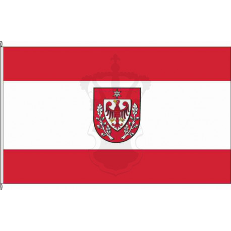 Fahne Flagge PM_Teltow