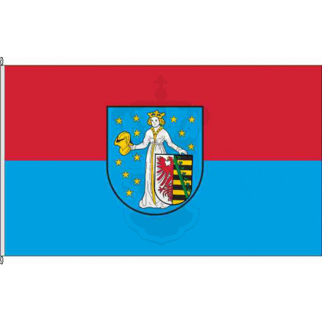 Fahne Flagge WB_Coswig (Anhalt)