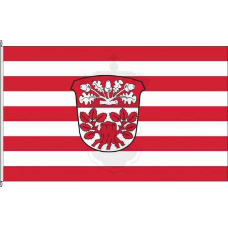 Fahne Flagge OF_Buchschlag