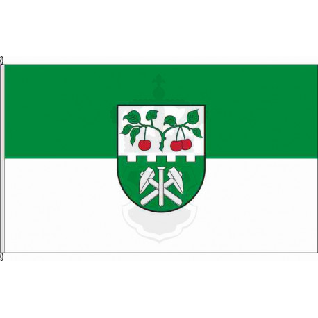 Fahne Flagge HZ-Stecklenberg