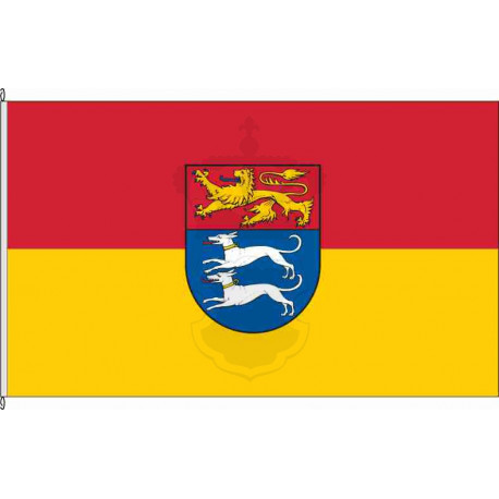 Fahne Flagge H-Ilten