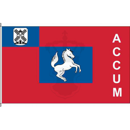 Fahne Flagge FRI-Accum