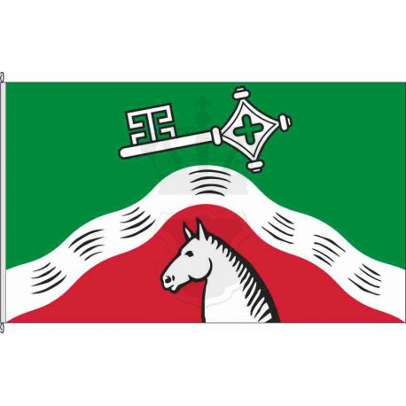 Fahne Flagge VER-Baden (Variante 1)