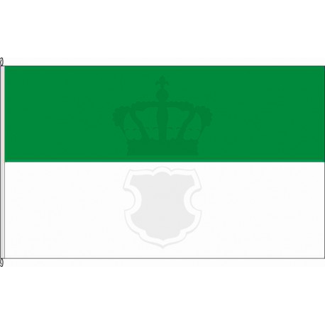 Fahne Flagge TDO-Langenreichenbach