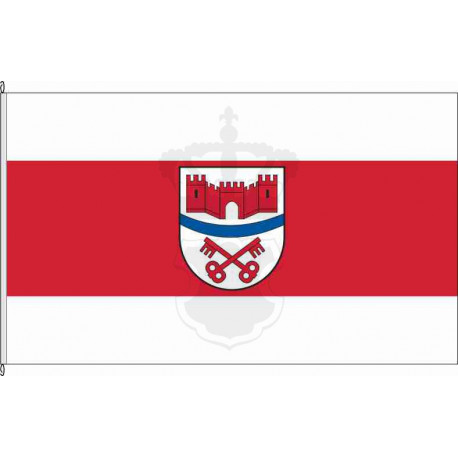 Fahne Flagge SK-Langenbogen