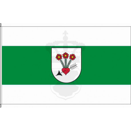 Fahne Flagge PIR-Colmnitz