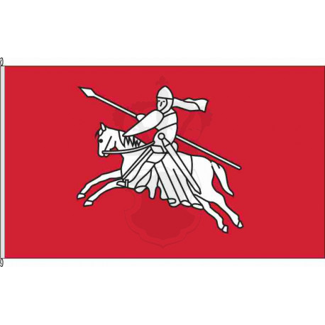 Fahne Flagge SL-Satrup