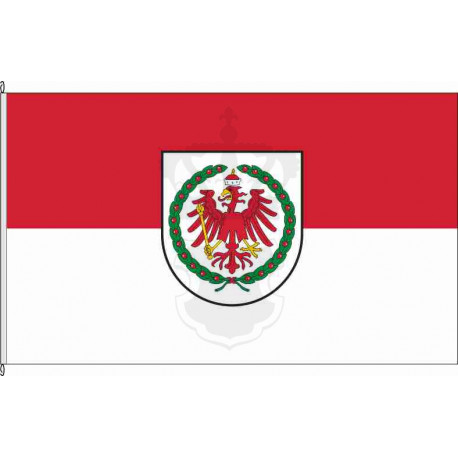 Fahne Flagge SAW-Dannefeld