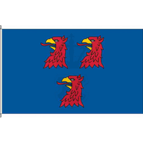 Fahne Flagge VG-Pasewalk