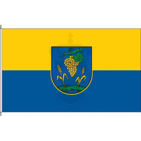 Fahne Flagge MEI-Coswig