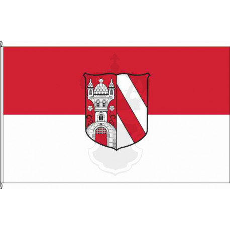 Fahne Flagge Z-Lichtenstein/Sa.