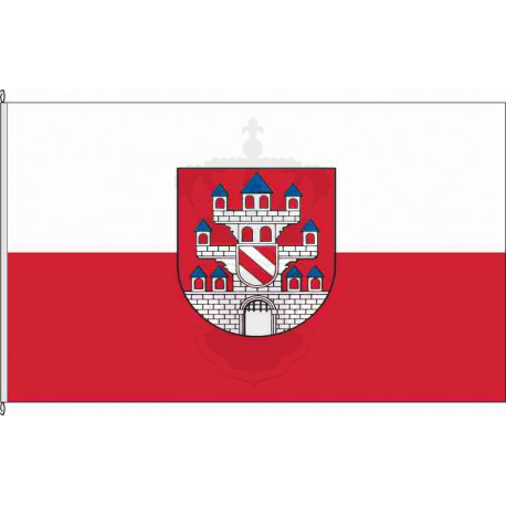 Fahne Flagge Z-Meerane