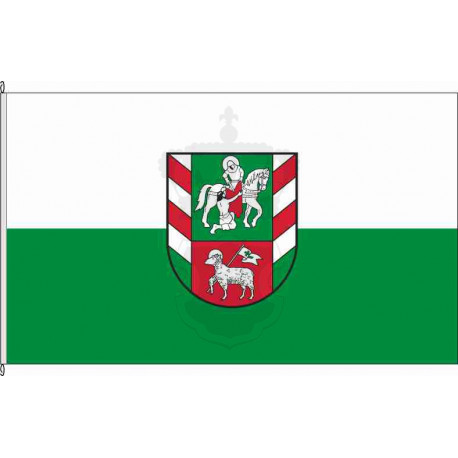 Fahne Flagge Z-Oberlungwitz