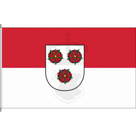 Fahne Flagge L-Brandis