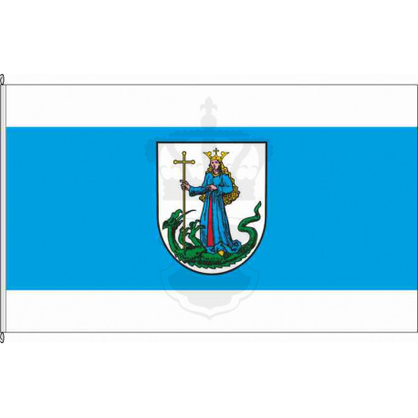 Fahne Flagge DÜW-Bissersheim