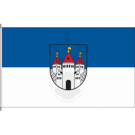 Fahne Flagge DÜW-Friedelsheim