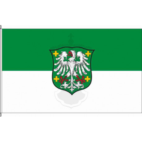 Fahne Flagge DÜW-Grünstadt