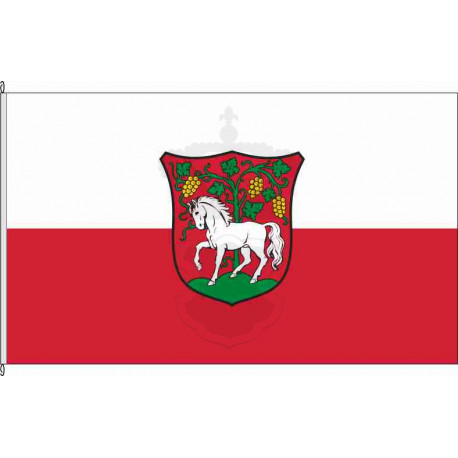 Fahne Flagge FG-Roßwein