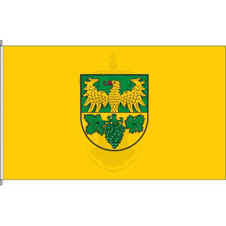 Fahne Flagge TR-Mehring
