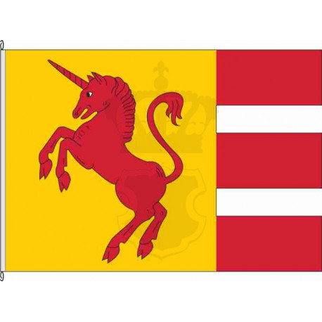 Fahne Flagge HSK-Thülen