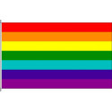  Gay flag 7