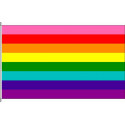  Gay flag 8