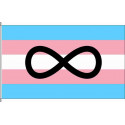  Neurodivergent Transgender