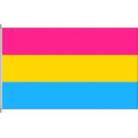  Pansexuality