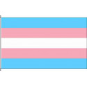  Transgender