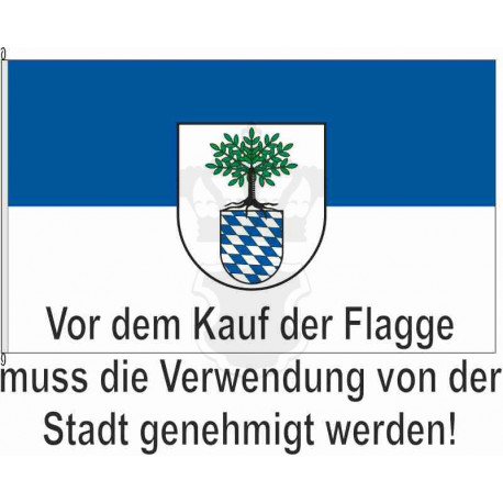 Fahne Flagge HD_Nußloch