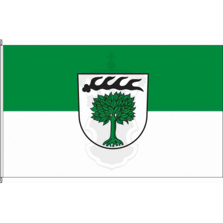 Fahne Flagge HN-Ilsfeld