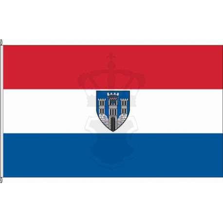 Fahne Flagge LM-Limburg a.d. Lahn
