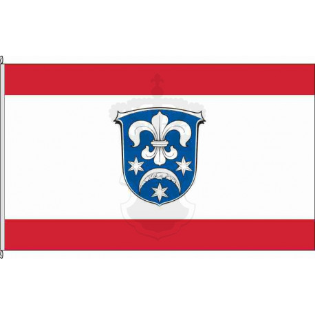Fahne Flagge DA-Alsbach
