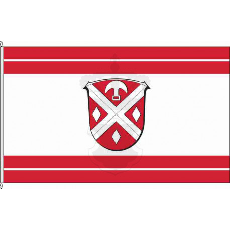 Fahne Flagge DA-Modautal