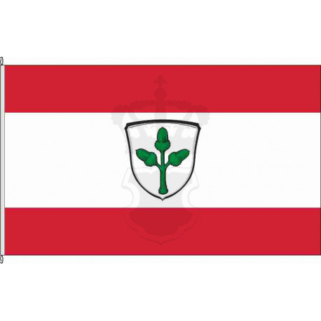Fahne Flagge DA-Frankenhausen