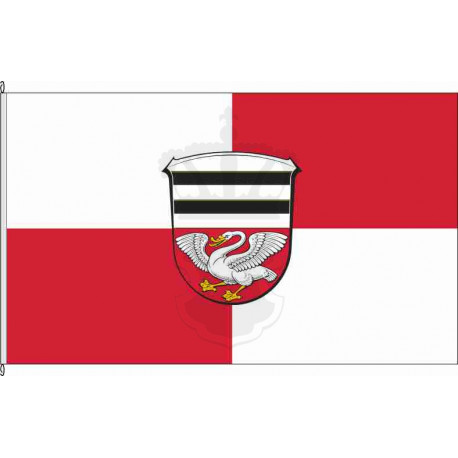 Fahne Flagge DA-Münster