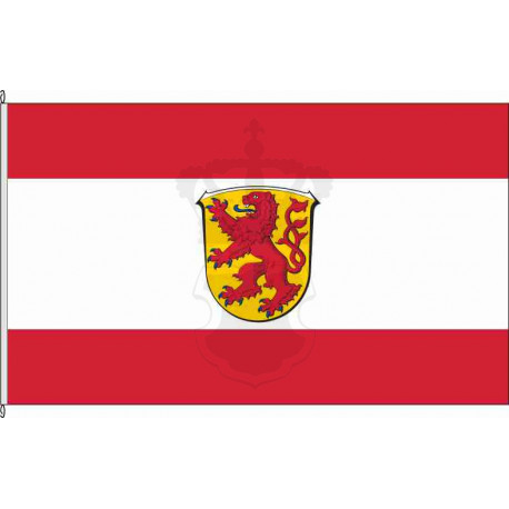 Fahne Flagge DA-Reinheim