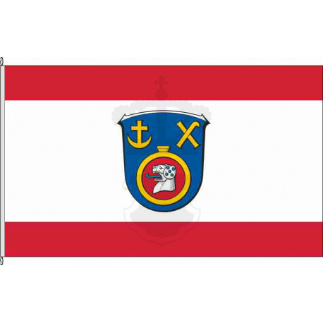 Fahne Flagge DA-Weiterstadt